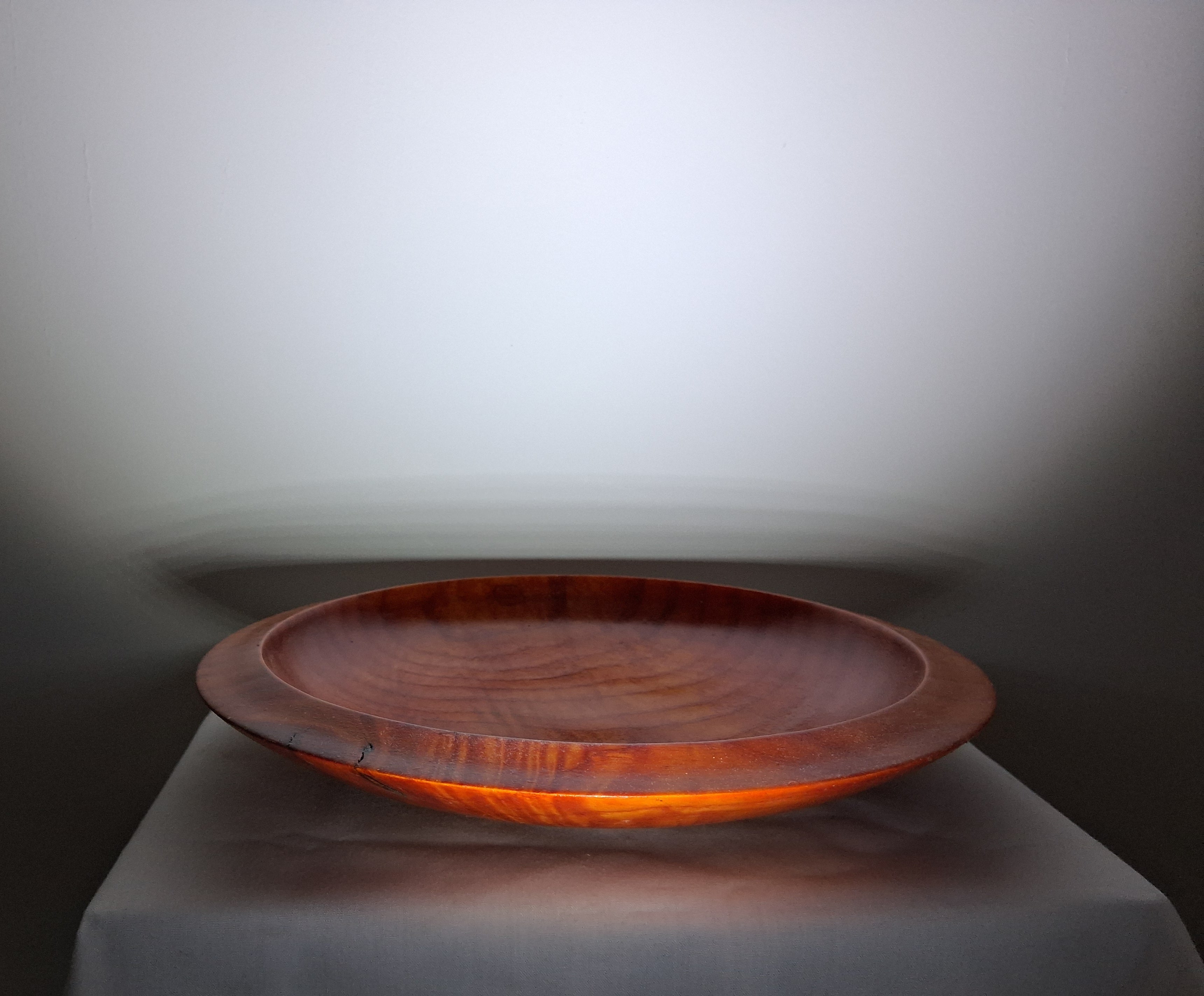 Coloured Sycamore Plate