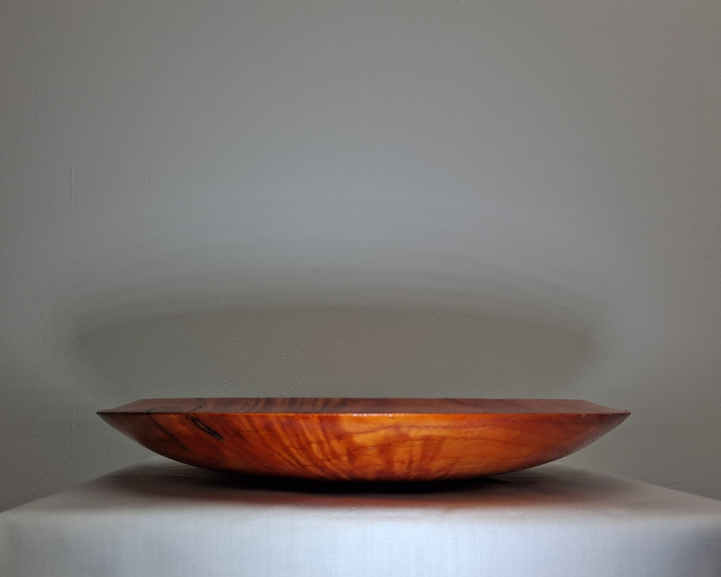 Coloured Sycamore Plate