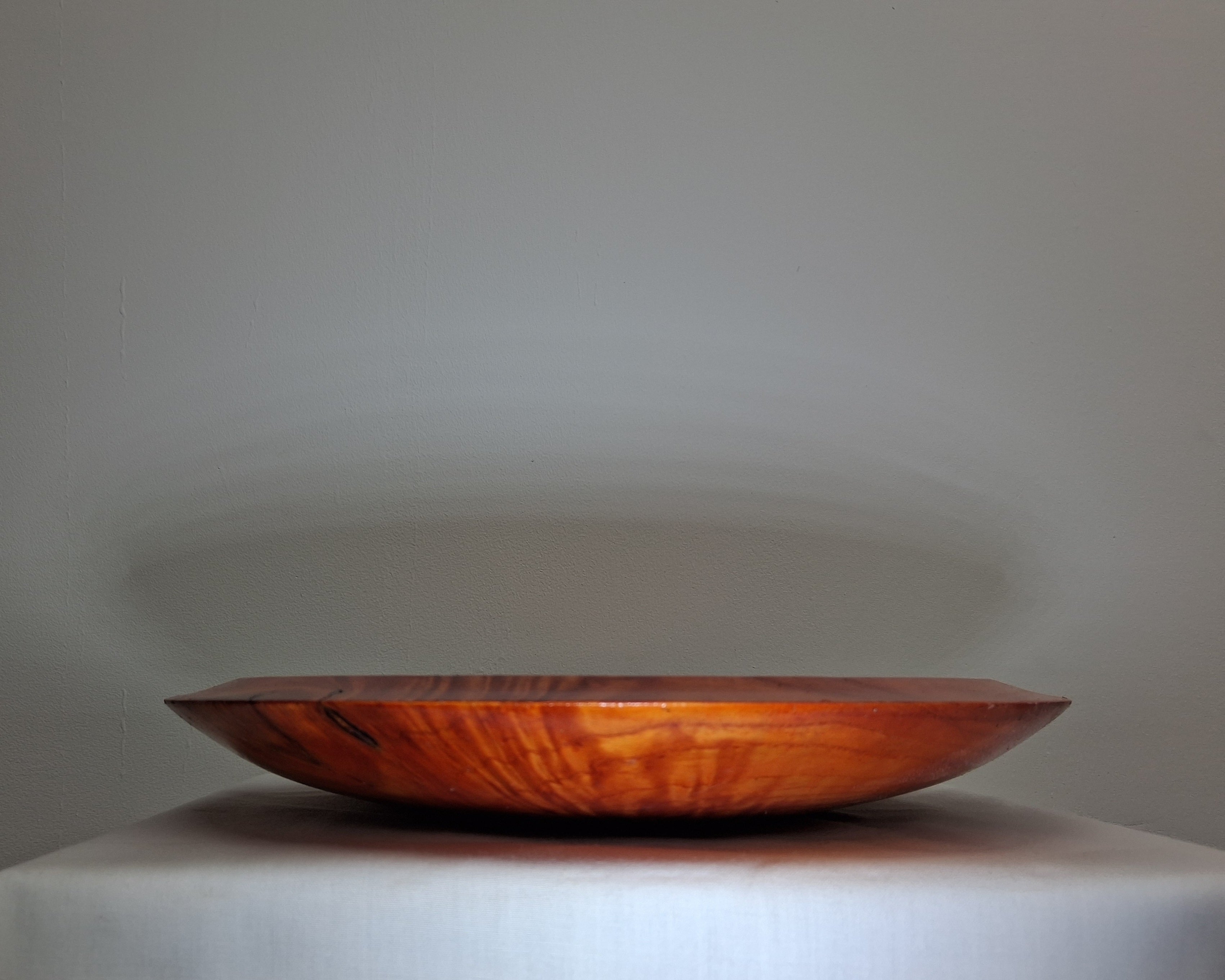 Coloured Sycamore Plate