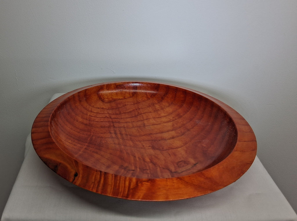 Coloured Sycamore Plate