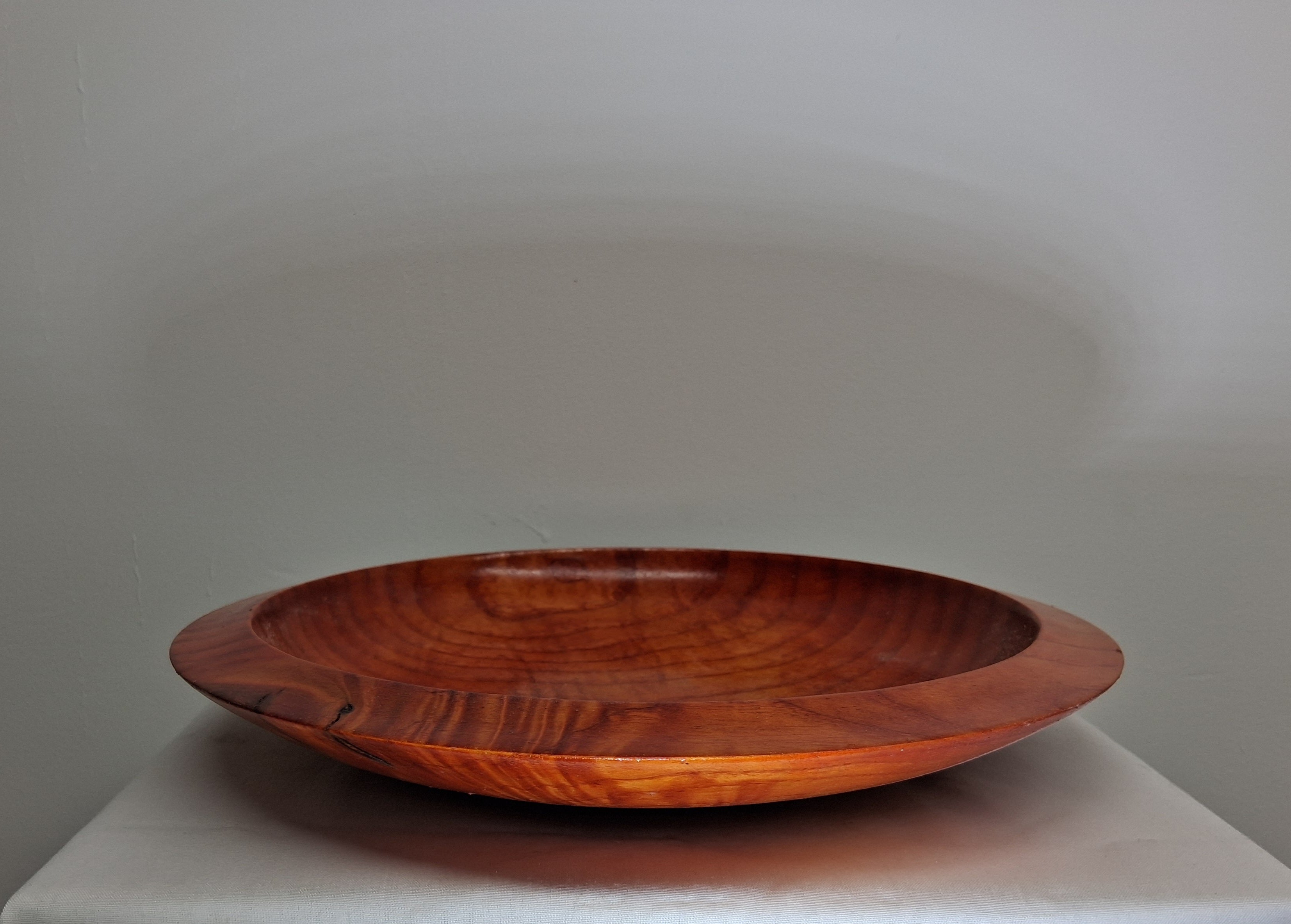 Coloured Sycamore Plate