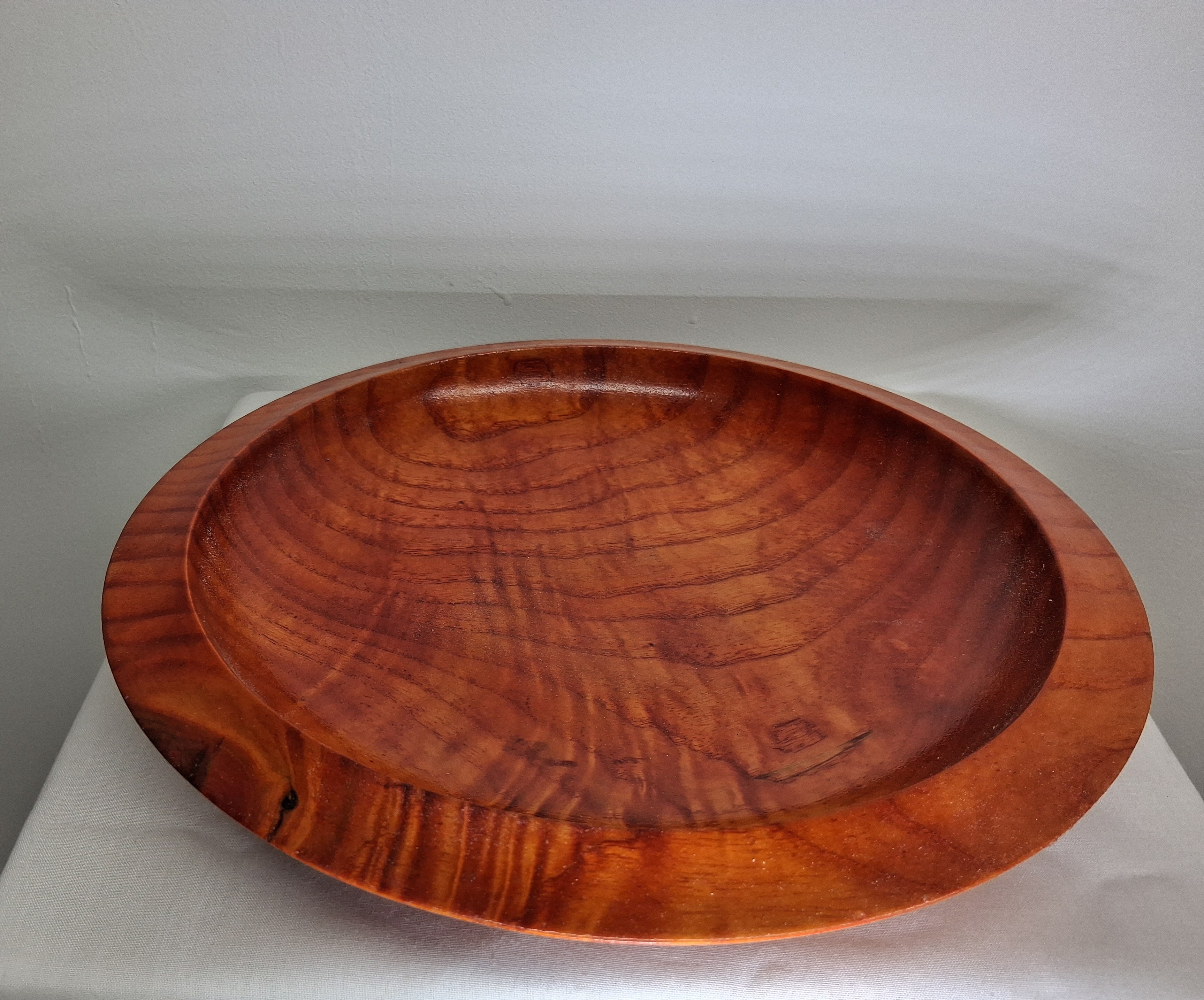 Coloured Sycamore Plate
