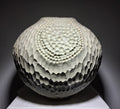 Coloured Native Ash Hollow Form with Carved Texturing
