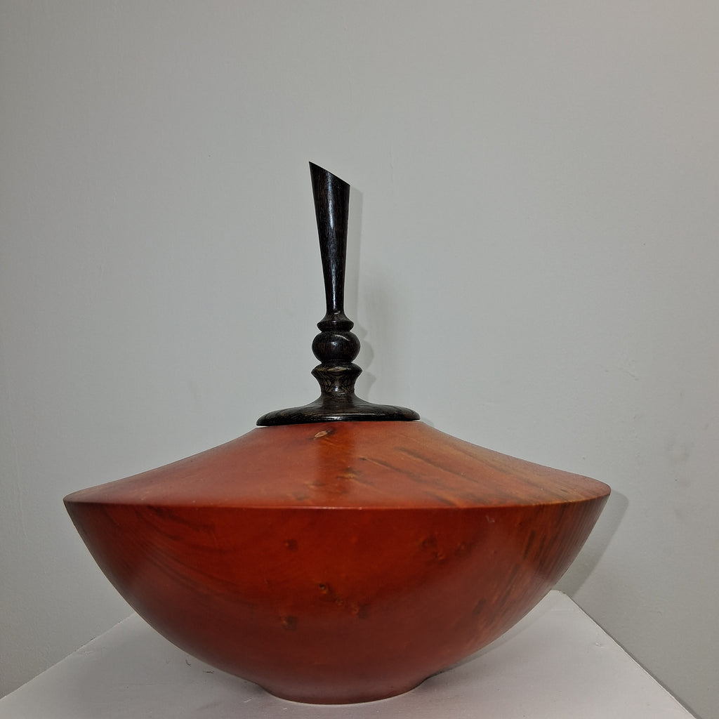Coloured Fiddleback  Sycamore Hollow Form Pot with Ash Finial