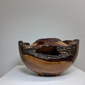 Plum Winged Hollow Form