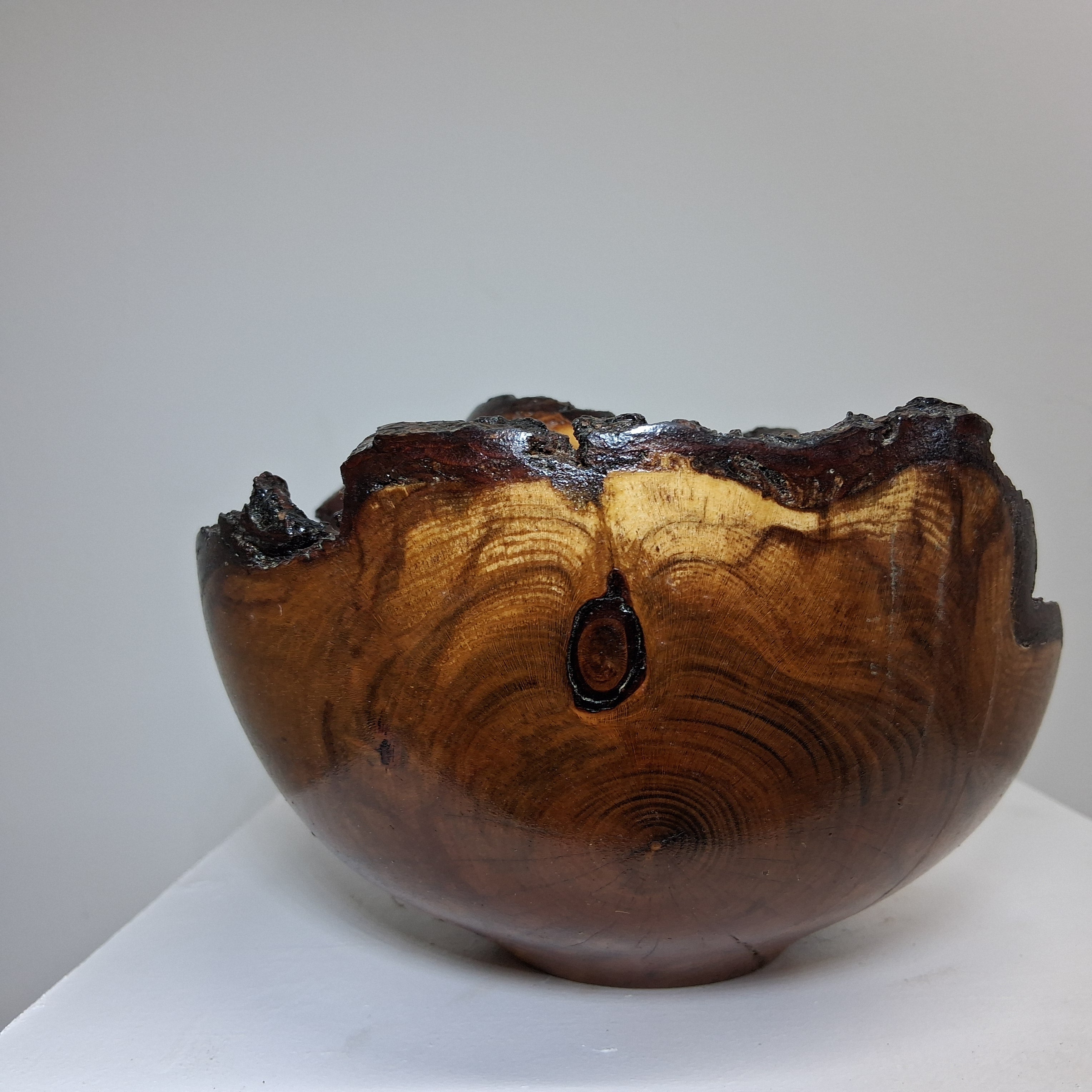 Plum Winged Hollow Form