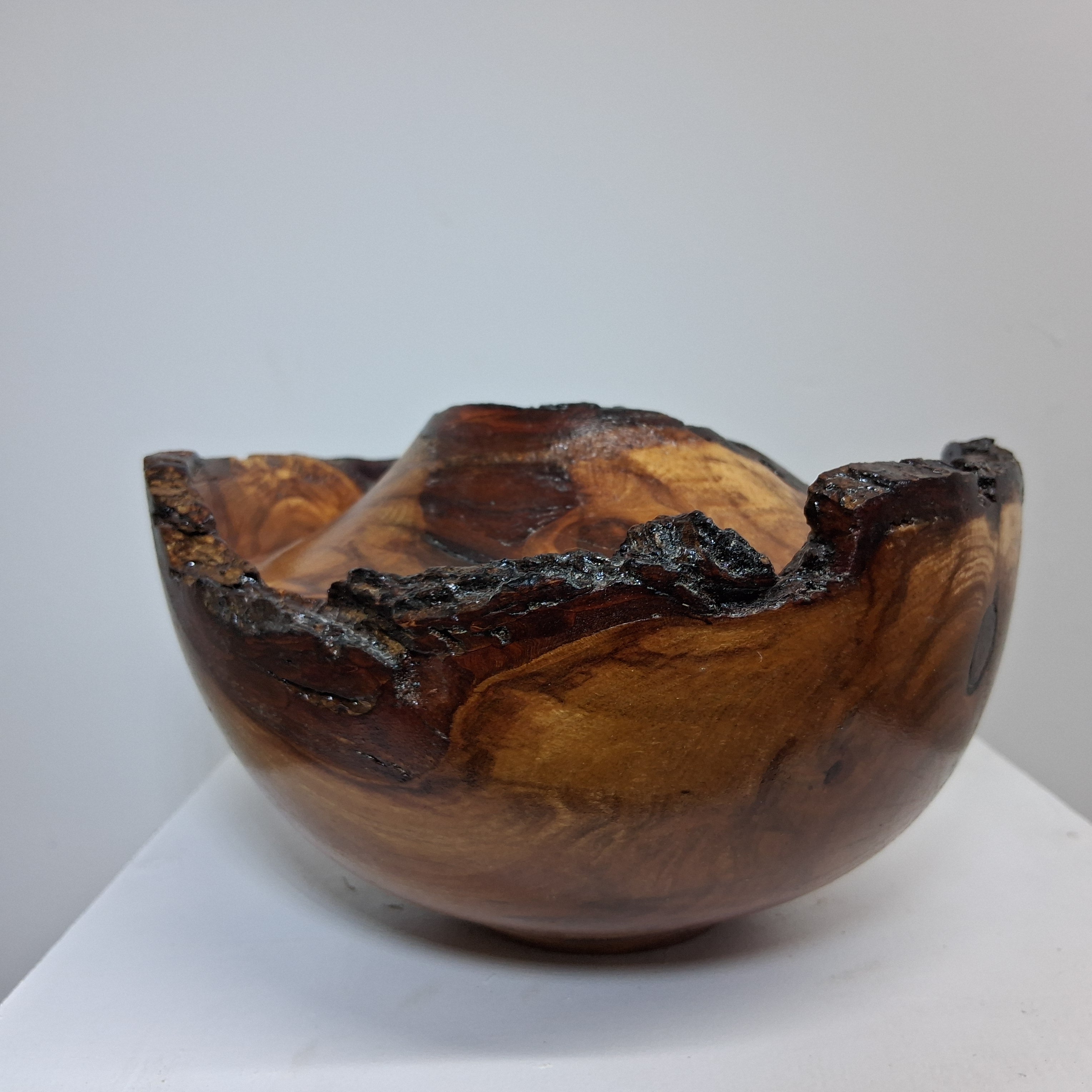 Plum Winged Hollow Form