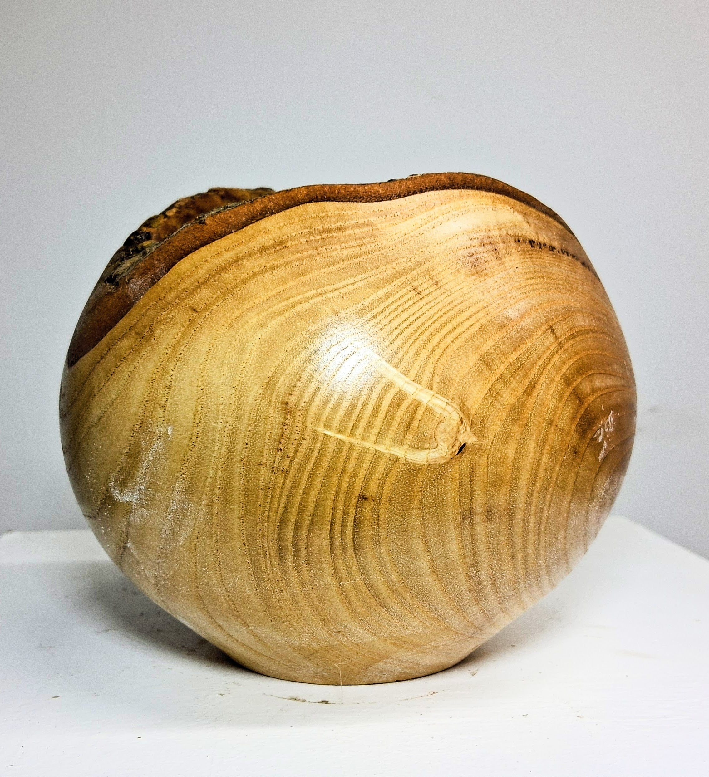 Olive Ash Hollow Form Pot
