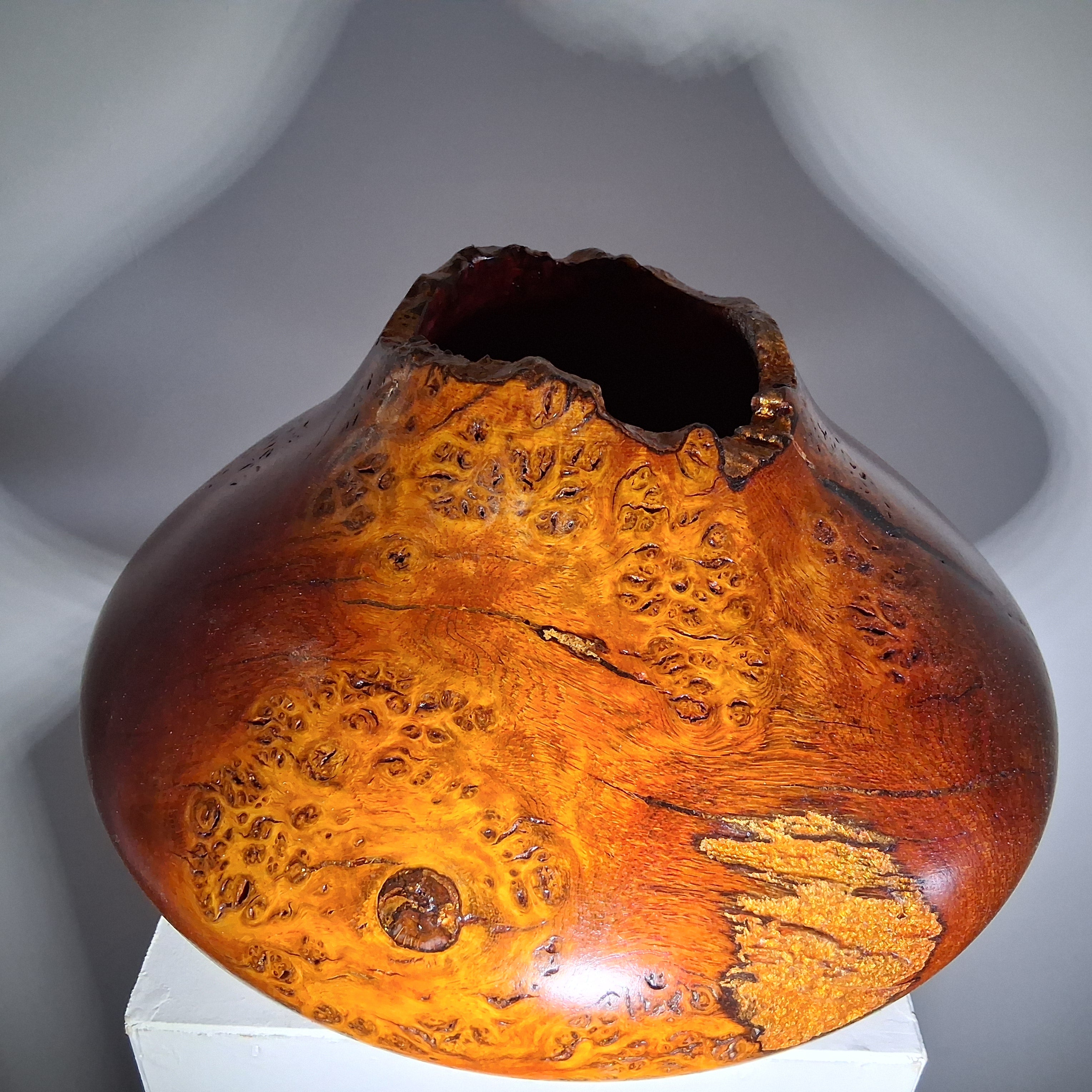 Coloured Pippy Cats Paws Burr Oak Hollow Form Pot