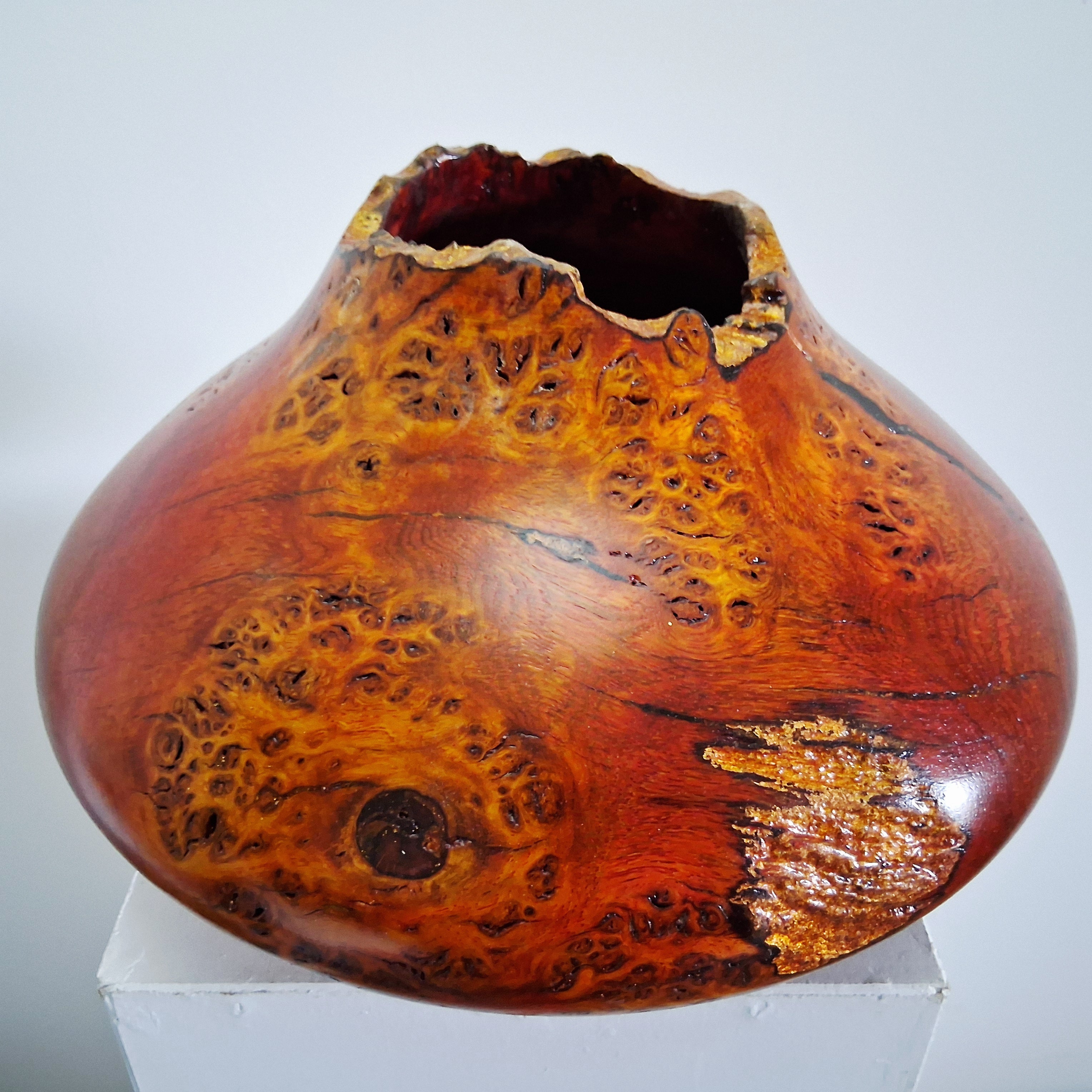 Coloured Pippy Cats Paws Burr Oak Hollow Form Pot