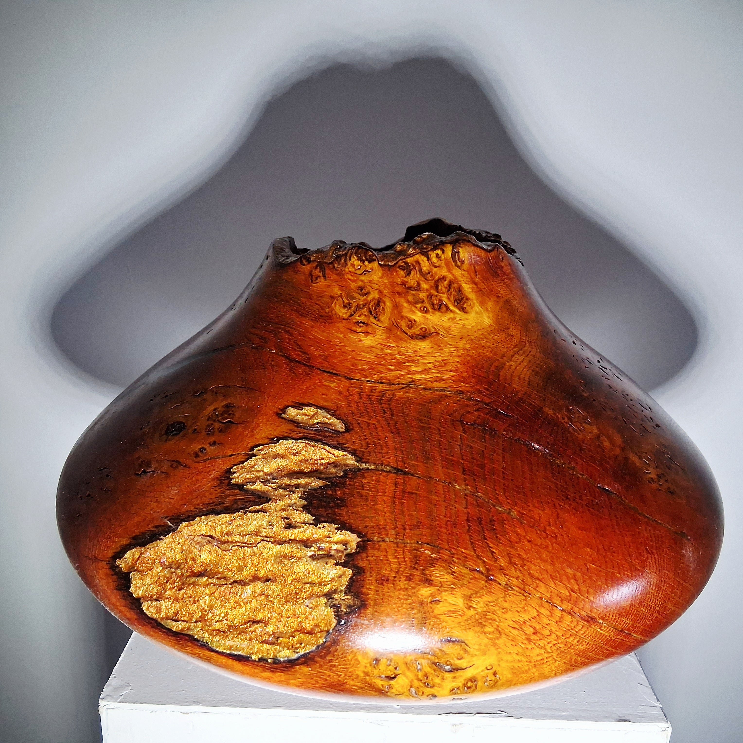 Coloured Pippy Cats Paws Burr Oak Hollow Form Pot