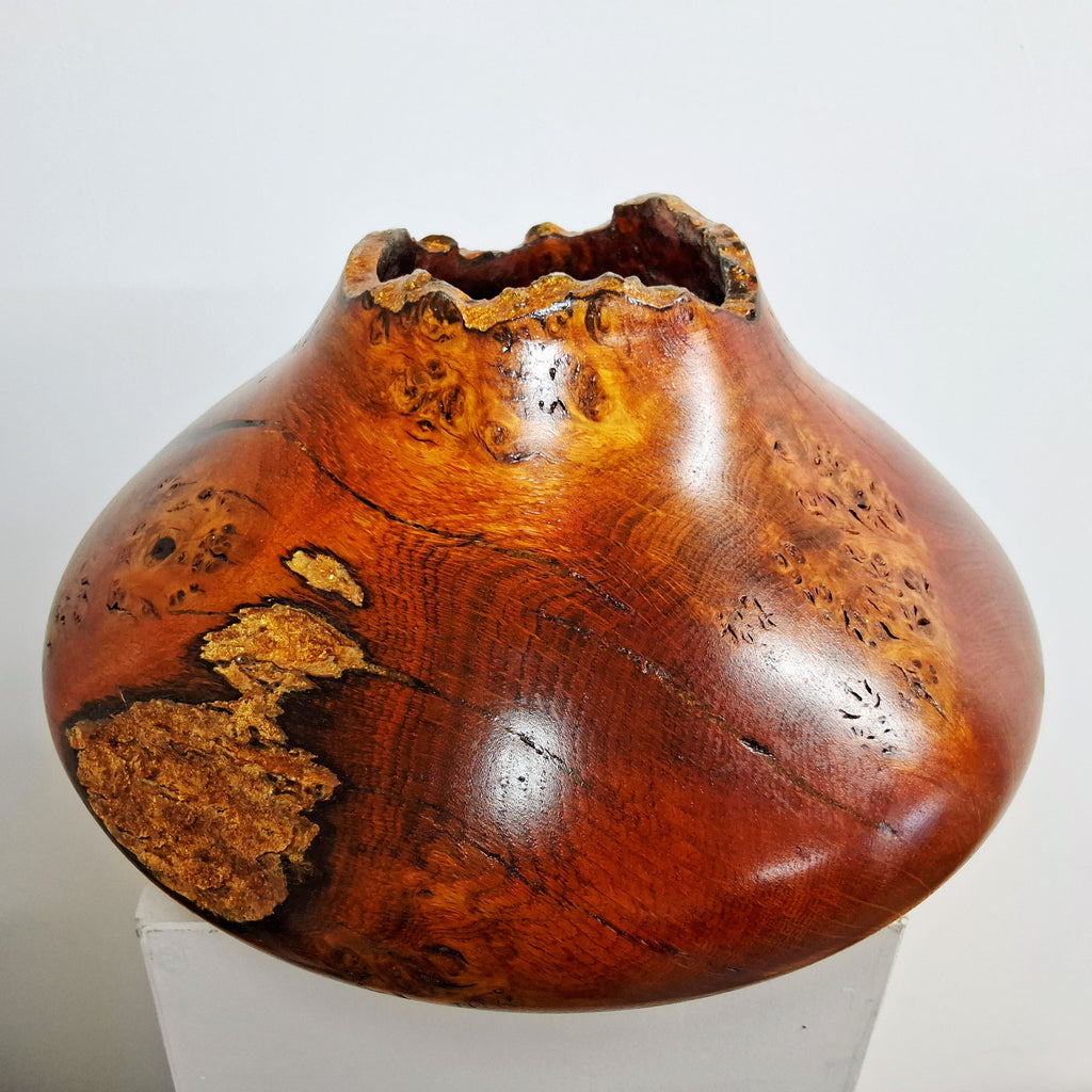 Coloured Pippy Cats Paws Burr Oak Hollow Form Pot