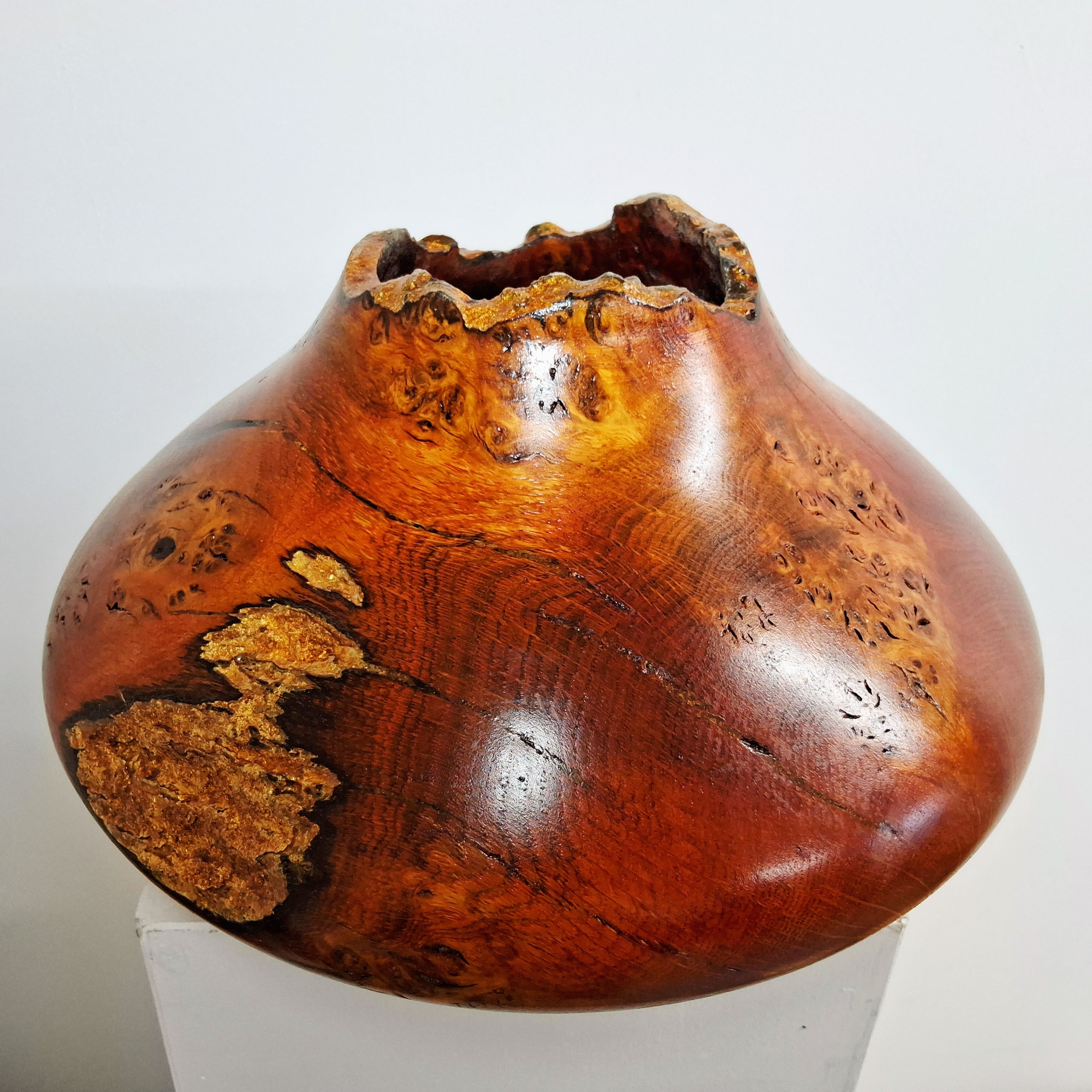 Coloured Pippy Cats Paws Burr Oak Hollow Form Pot