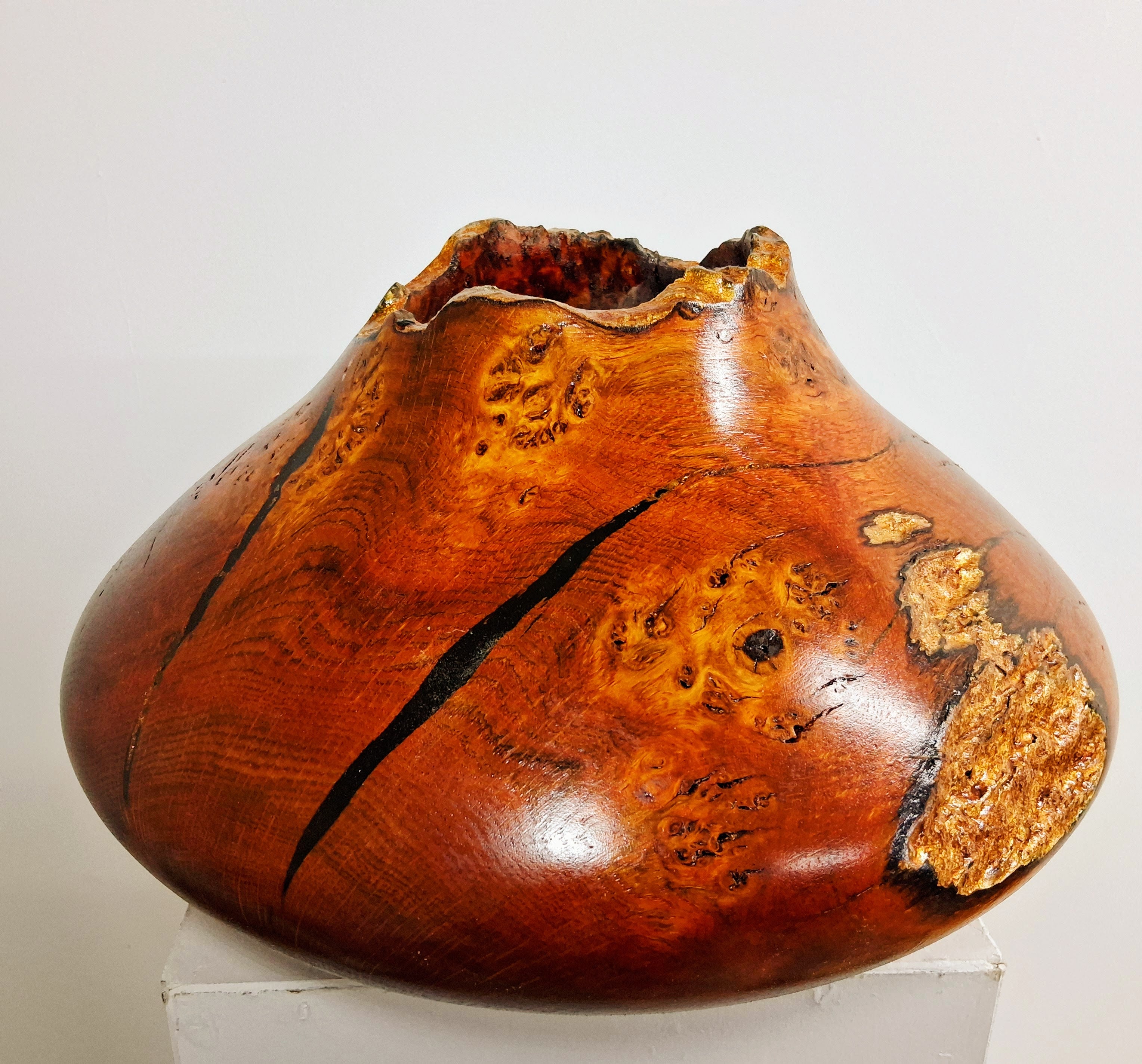 Coloured Pippy Cats Paws Burr Oak Hollow Form Pot
