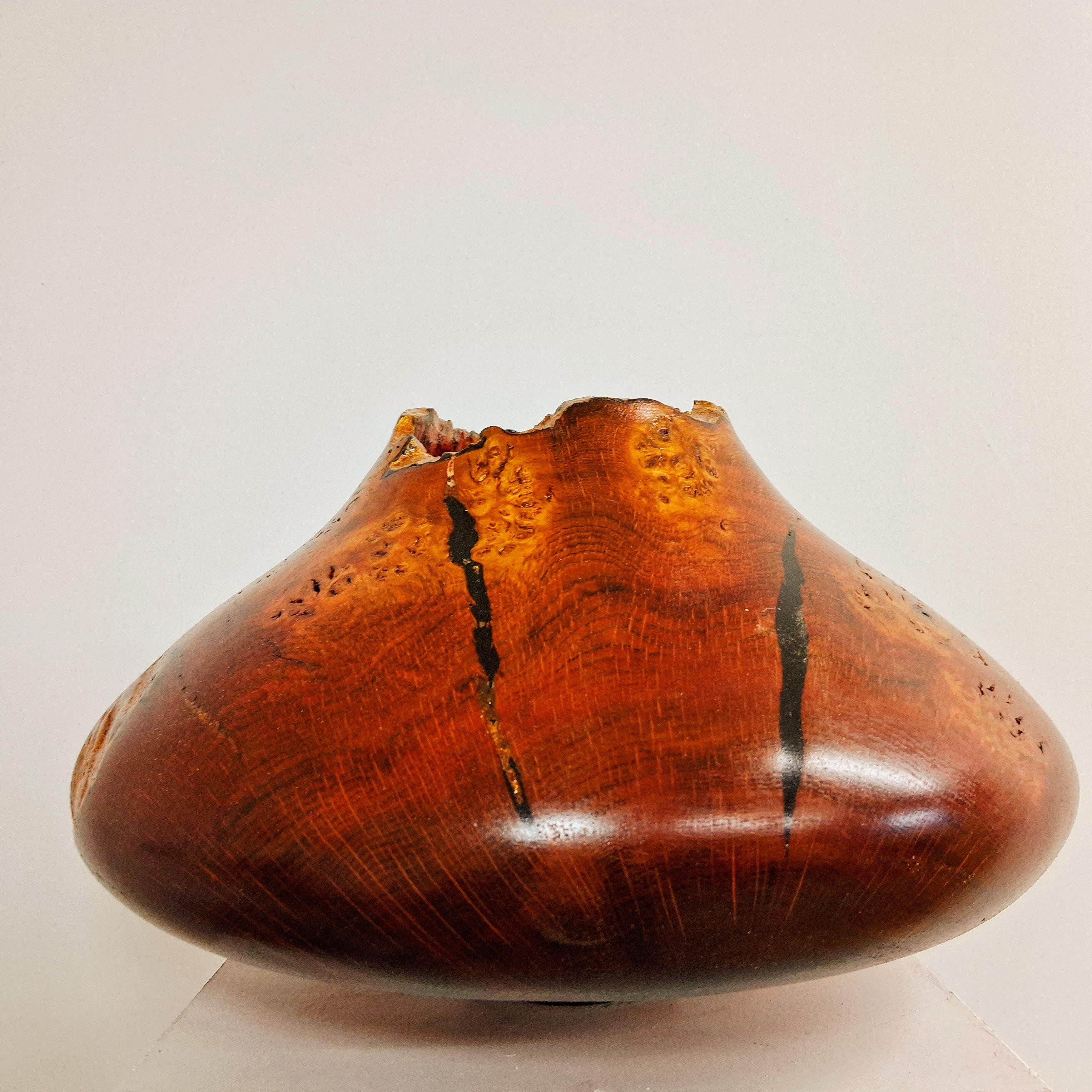 Coloured Pippy Cats Paws Burr Oak Hollow Form Pot