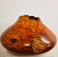 Coloured Pippy Cats Paws Burr Oak Hollow Form Pot