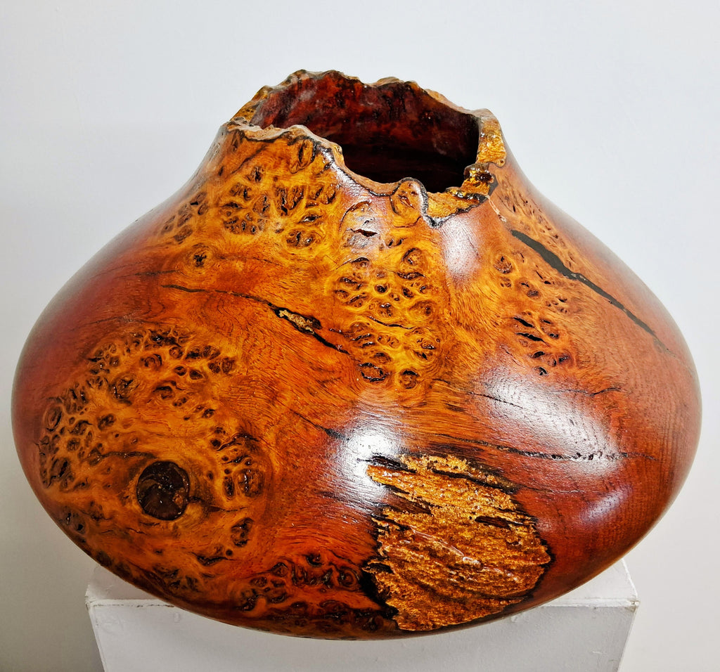 Coloured Pippy Cats Paws Burr Oak Hollow Form Pot