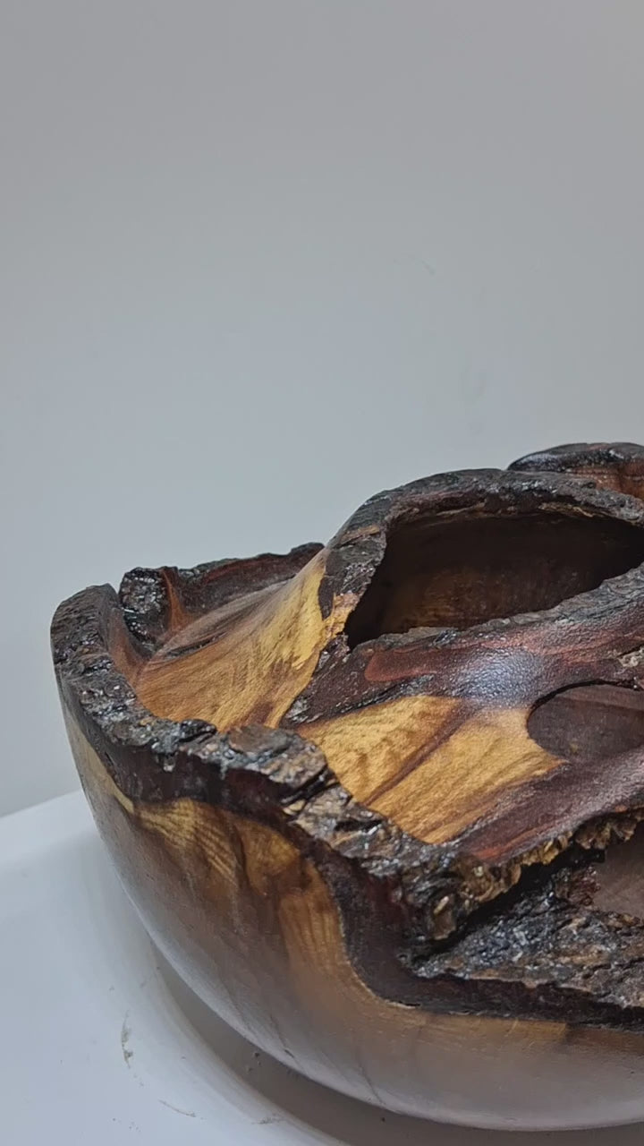 Plum Winged Hollow Form