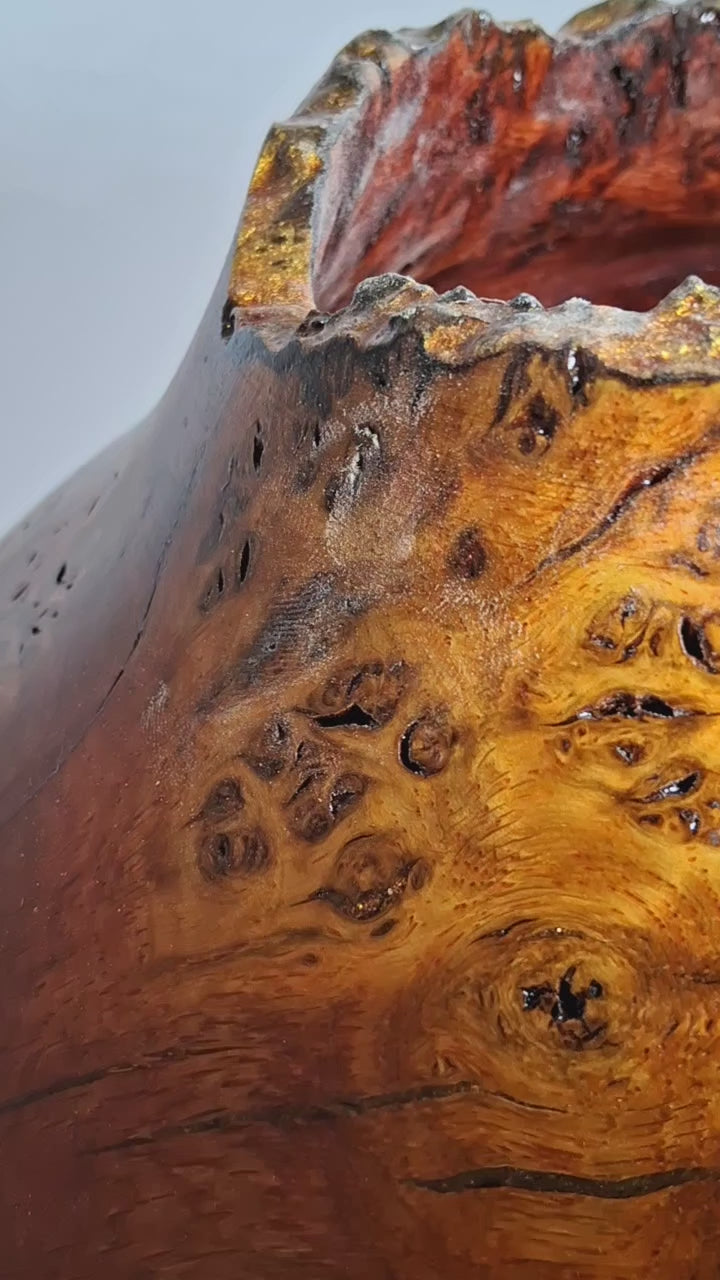 Coloured Pippy Cats Paws Burr Oak Hollow Form Pot