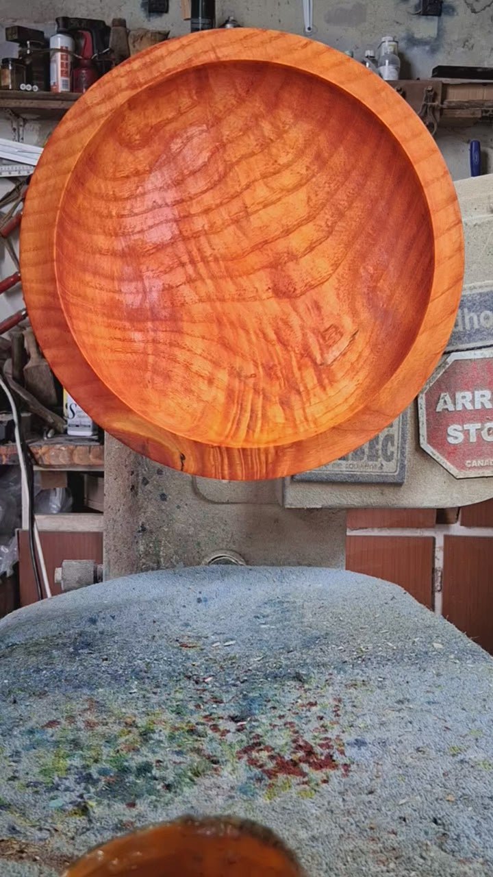 Coloured Sycamore Plate