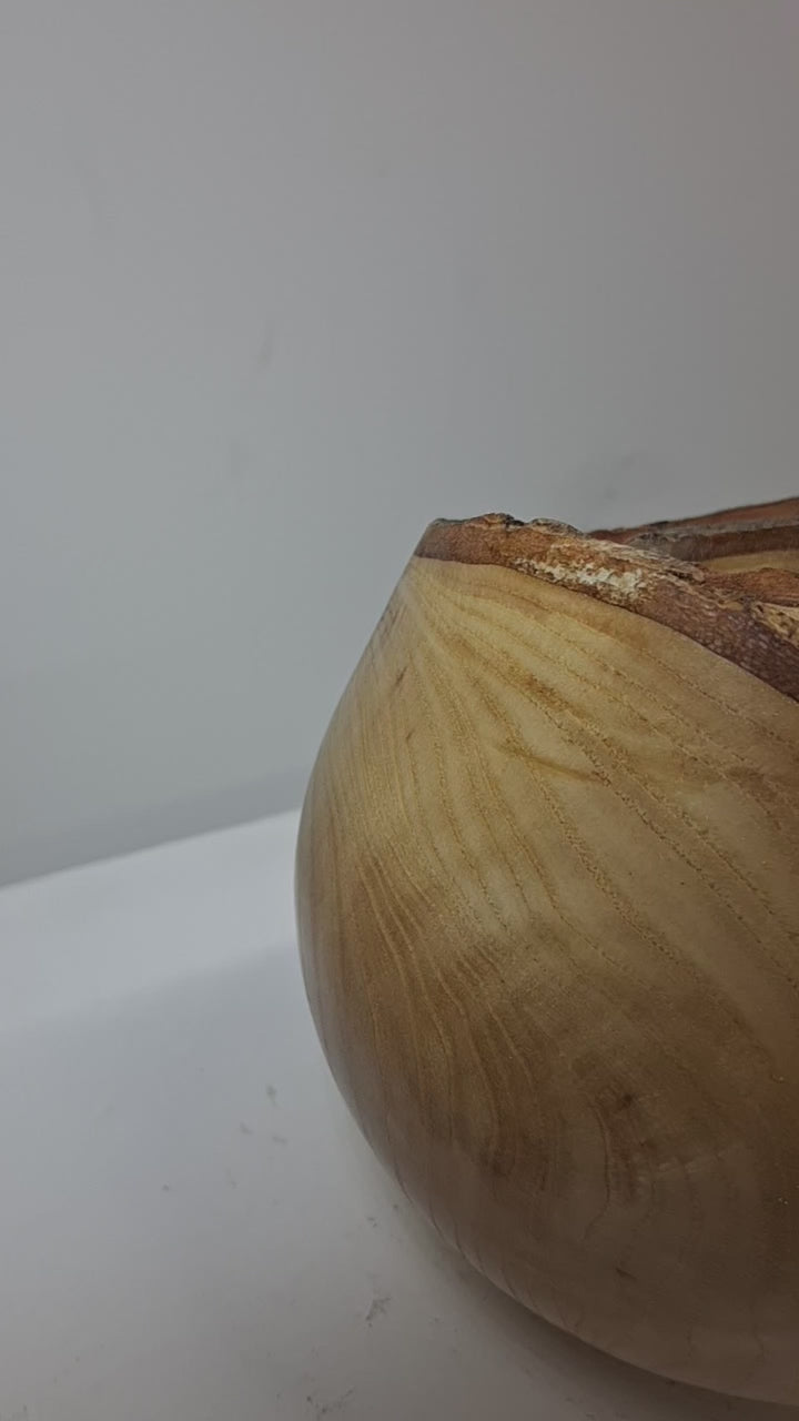 Olive Ash Hollow Form Pot