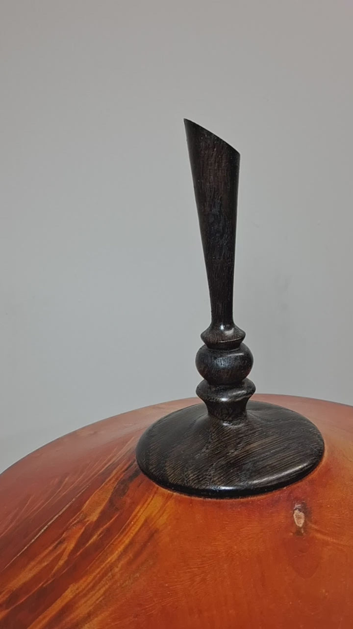 Coloured Fiddleback  Sycamore Hollow Form Pot with Ash Finial